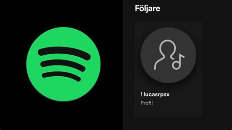 vem följer mina  inventering  vid spotify