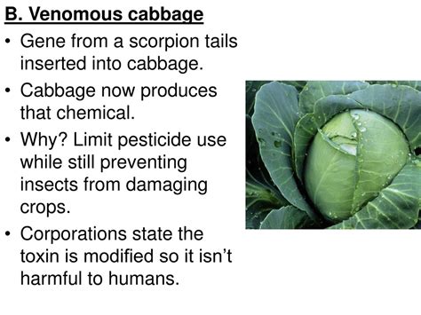 Venomous Cabbage