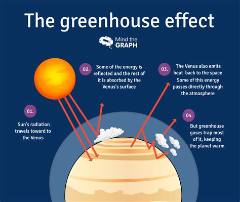 Venus Before Greenhouse Effect