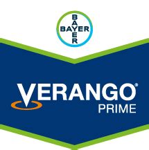 Verango Prime Bula