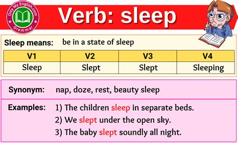 verb 2 sleep