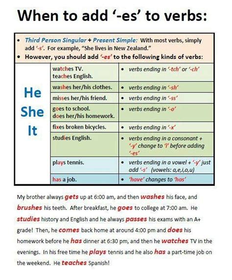 Verb S Es