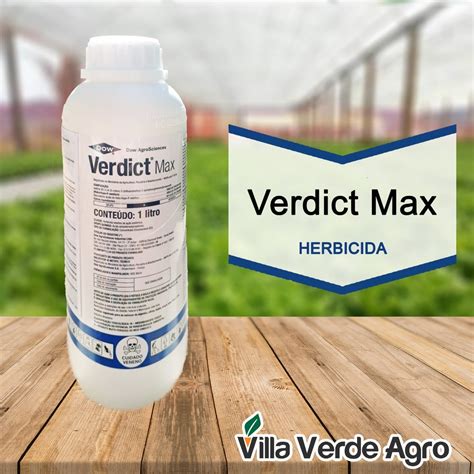 Verdict Max Bula