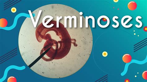Verminosa Que Son