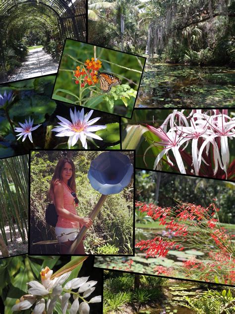 nature photo by Michaela King