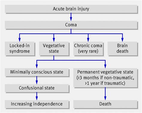 verschil coma pvs