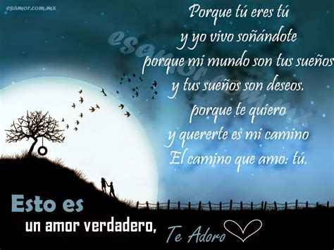 verso de amor