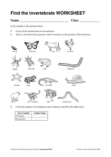 Vertebrate And Invertebrate Animals Activity For 5th Grade Vertebrate Respiration Worksheet 5th Grade - Vertebrate Respiration Worksheet 5th Grade
