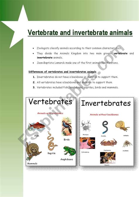 Vertebrate And Invertebrate Animals Printable 3rd 5th Grade Vertebrate Respiration Worksheet 5th Grade - Vertebrate Respiration Worksheet 5th Grade