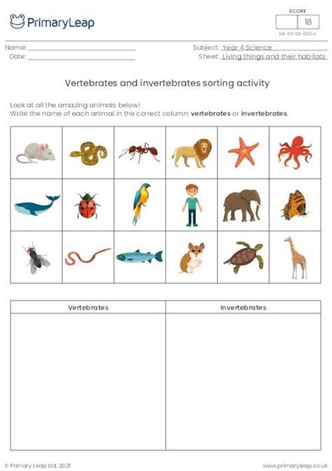 Vertebrate Or Invertebrate Sorting Worksheet Teacher Made Twinkl Vertebrate And Invertebrate Worksheet - Vertebrate And Invertebrate Worksheet