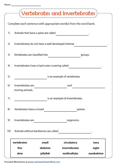 Vertebrates And Invertebrates Word Fill In Teachervision Vertebrate Respiration Worksheet 5th Grade - Vertebrate Respiration Worksheet 5th Grade