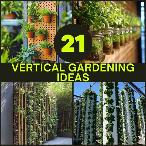 Vertical Gardening Pgf