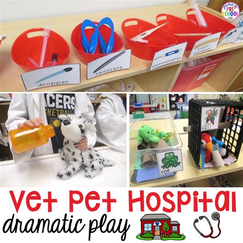 Vet Animal Hospital Dramatic Play Pocket Of Preschool Vet Worksheet  Preschool - Vet Worksheet [preschool