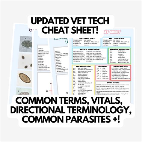 Vet Tech Cheat Sheets