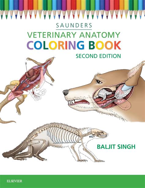 veterinary anatomy coloring book