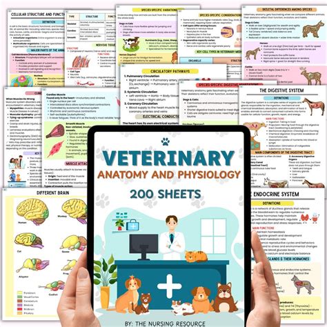 veterinary physiology lecture notes