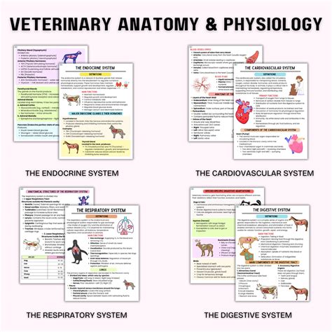 Veterinary Physiology Lecture Notes Pdfsdocuments2