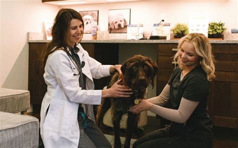 veterinary technician jobs in Ohioview, PA - Indeed