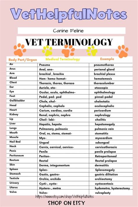 Veterinary Terminology