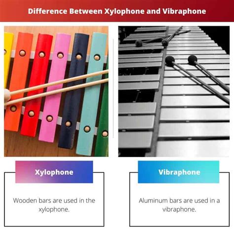 Vibraphone Vs Xylophone