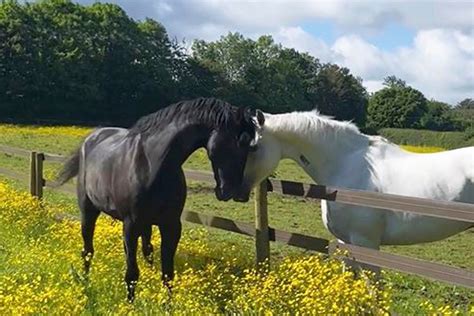 Vida And Quaker
