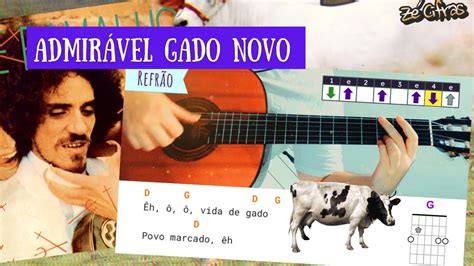 Vida De Gado