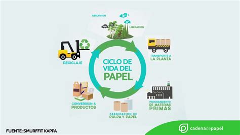 Vida De Papel