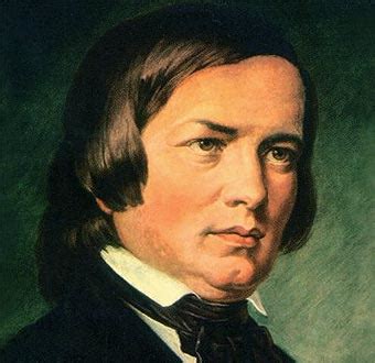 vida resumida de robert schumann biography
