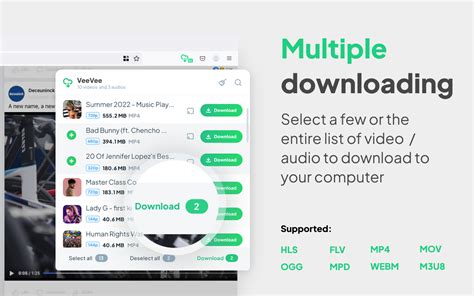 video downloader veevee