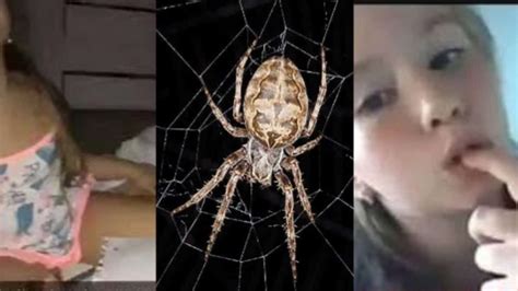 Video viral la mujer araña