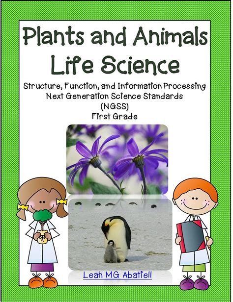 Videos For Teaching Plant And Animal Cells Teaching Teaching Cells To 5th Grade - Teaching Cells To 5th Grade