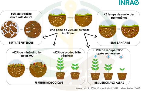 vie microbienne du sol et production va c ga c ta