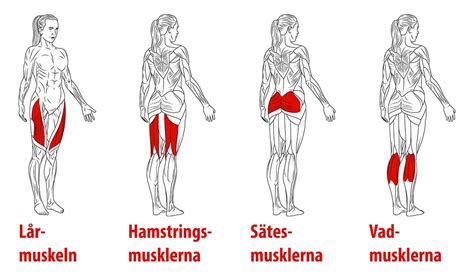 vikt  vid framfot ont  inom vaderna