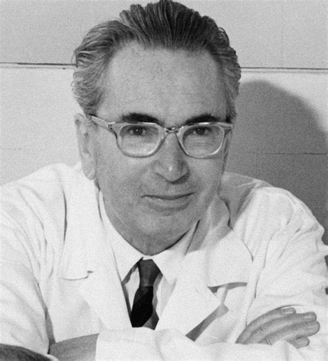 viktor frankl biography summary form