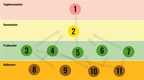 vilka  attribut  besitter  ett tall