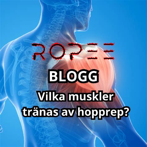 vilka muskler tränas vid krysshopp