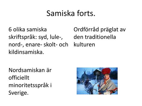 vilka språk i norden tillhör inte samma språkfamilj som svenskan