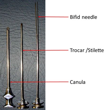 Vim Silverman Needle