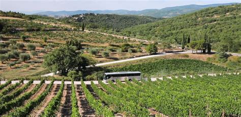 vin tur