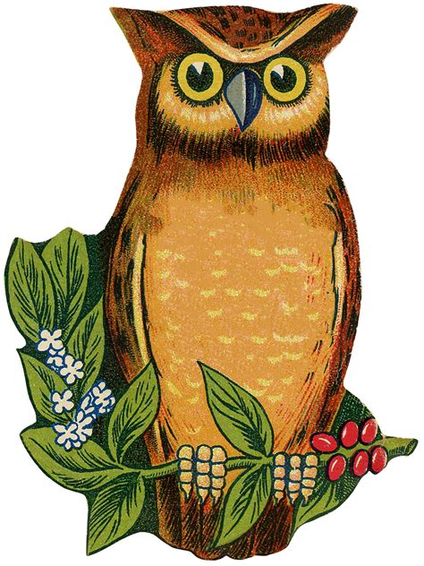 Vintage Owls On Branch Paintings