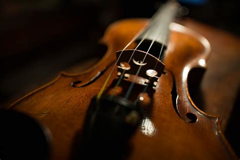 Violin Photography