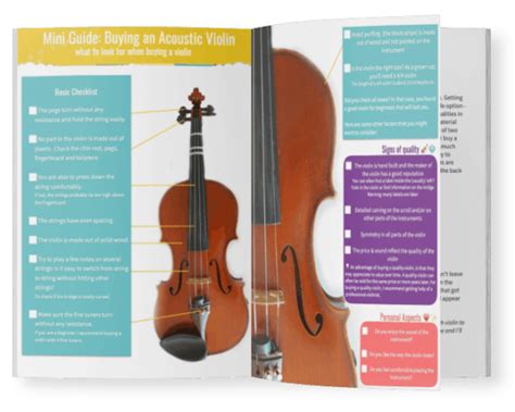 Read Online Violin Buying Guide 