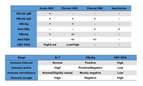 Viral Marker Test List