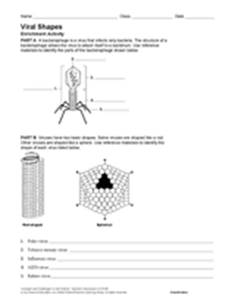 Viral Shapes Science Printable 6th 12th Grade 2nd Grade Worksheet Virus - 2nd Grade Worksheet Virus