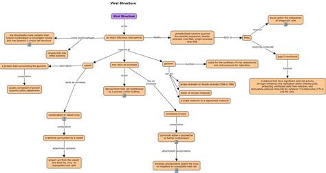 Viral Structure And Replication Answers