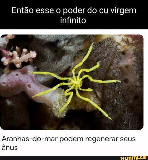 Virgem Dando Cu