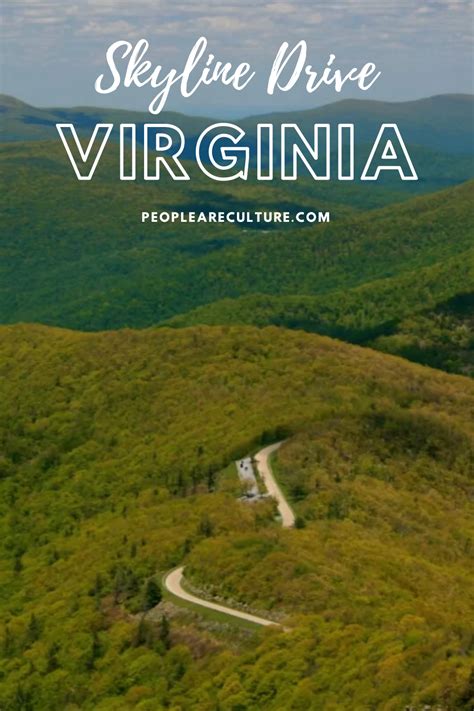 virginia drive