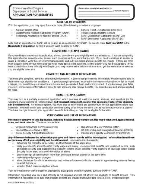 virginia snap application