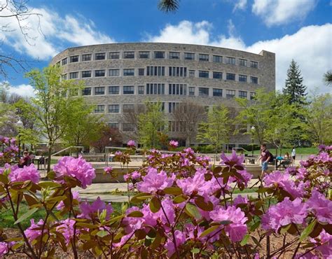 virginia tech library