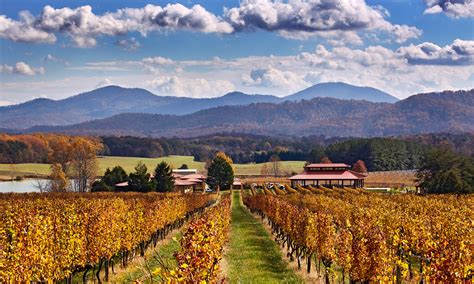 virginia wineries